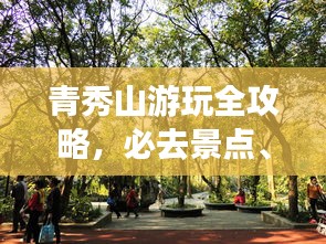 青秀山游玩全攻略,必去景点、交通指南与实用建议