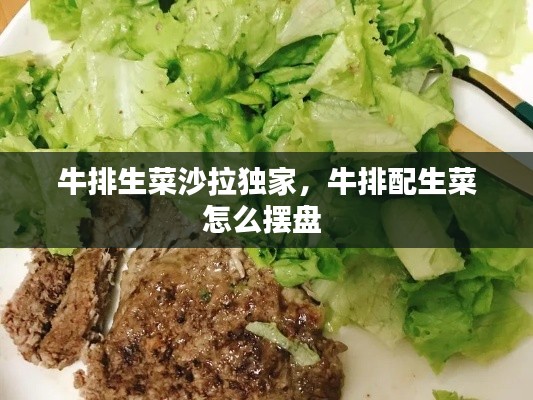 牛排生菜沙拉独家,牛排配生菜怎么摆盘