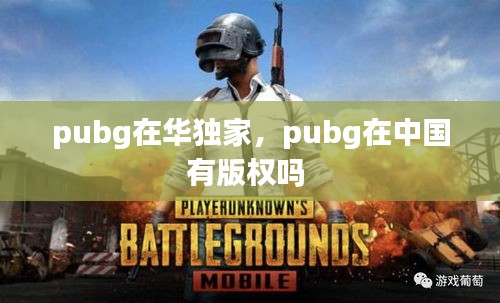 pubg在华独家,pubg在中国有版权吗