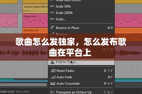 歌曲怎么发独家,怎么发布歌曲在平台上