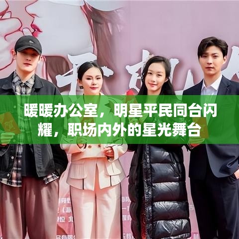 暖暖办公室,明星平民同台闪耀,职场内外的星光舞台