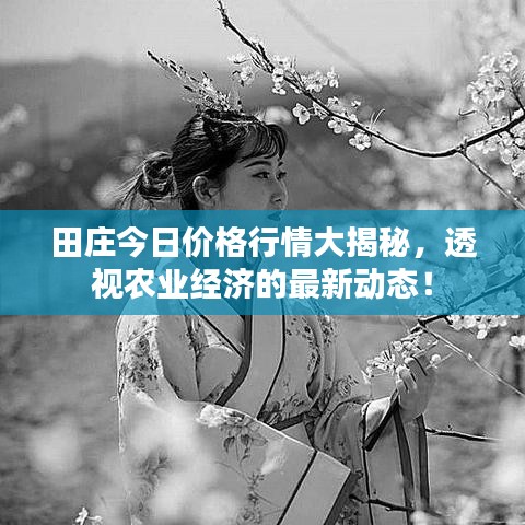 田庄今日价格行情大揭秘，透视农业经济的最新动态！