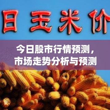 今日股市行情预测，市场走势分析与预测