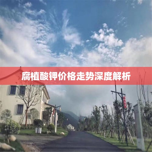 腐植酸钾价格走势深度解析